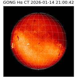 gong - 2026-01-14T21:00:42