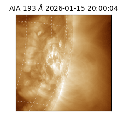 saia - 2026-01-15T20:00:04.843000