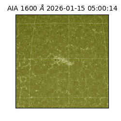 saia - 2026-01-15T05:00:14.118000
