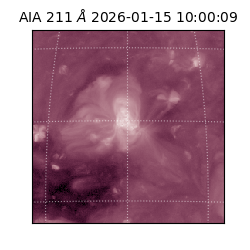 saia - 2026-01-15T10:00:09.626000