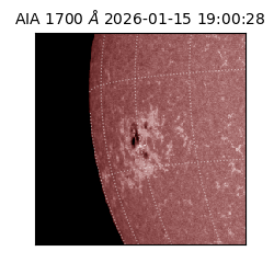 saia - 2026-01-15T19:00:28.717000