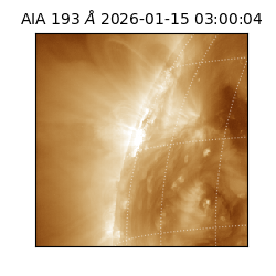 saia - 2026-01-15T03:00:04.843000