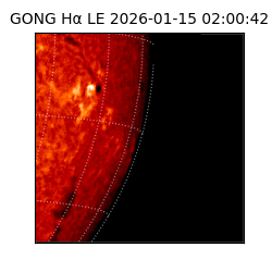 gong - 2026-01-15T02:00:42