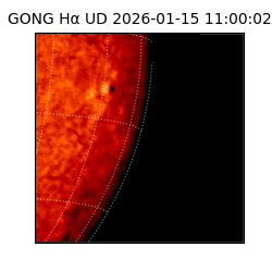 gong - 2026-01-15T11:00:02