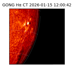 gong - 2026-01-15T12:00:42
