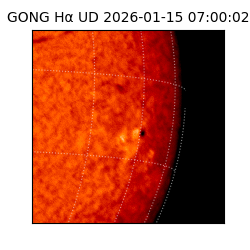 gong - 2026-01-15T07:00:02