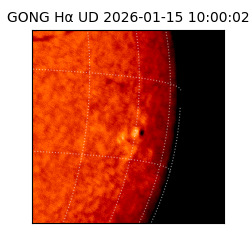 gong - 2026-01-15T10:00:02