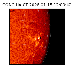 gong - 2026-01-15T12:00:42