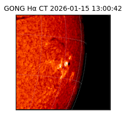 gong - 2026-01-15T13:00:42