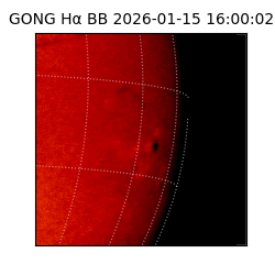 gong - 2026-01-15T16:00:02