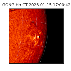 gong - 2026-01-15T17:00:42