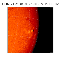 gong - 2026-01-15T19:00:02
