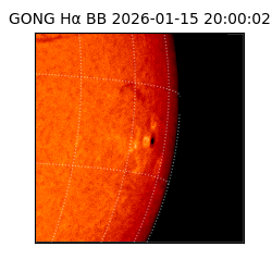 gong - 2026-01-15T20:00:02