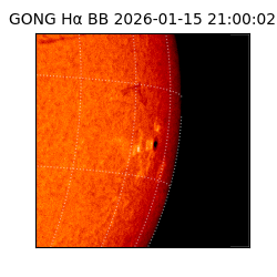 gong - 2026-01-15T21:00:02