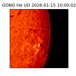 gong - 2026-01-15T10:00:02