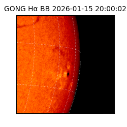 gong - 2026-01-15T20:00:02