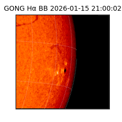 gong - 2026-01-15T21:00:02
