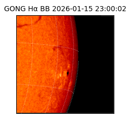 gong - 2026-01-15T23:00:02
