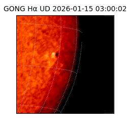gong - 2026-01-15T03:00:02