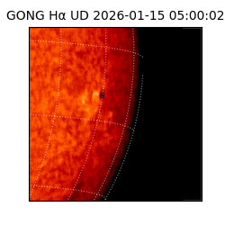 gong - 2026-01-15T05:00:02