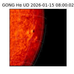 gong - 2026-01-15T08:00:02