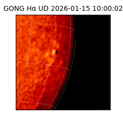 gong - 2026-01-15T10:00:02
