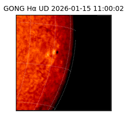 gong - 2026-01-15T11:00:02