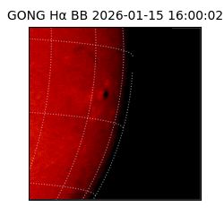 gong - 2026-01-15T16:00:02
