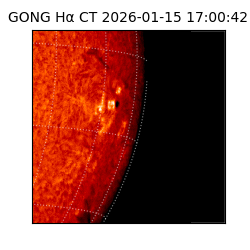 gong - 2026-01-15T17:00:42