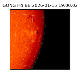 gong - 2026-01-15T19:00:02