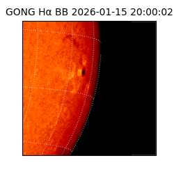 gong - 2026-01-15T20:00:02