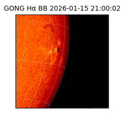 gong - 2026-01-15T21:00:02