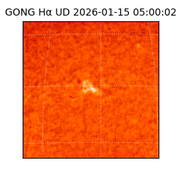 gong - 2026-01-15T05:00:02