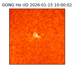 gong - 2026-01-15T10:00:02