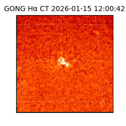 gong - 2026-01-15T12:00:42