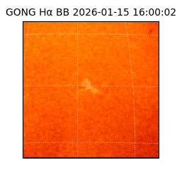 gong - 2026-01-15T16:00:02