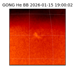 gong - 2026-01-15T19:00:02