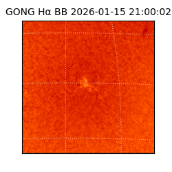 gong - 2026-01-15T21:00:02