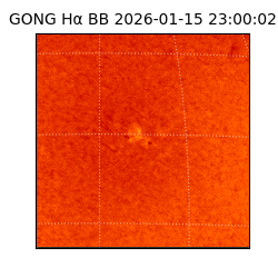 gong - 2026-01-15T23:00:02