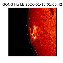 gong - 2026-01-15T01:00:42
