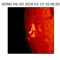 gong - 2026-01-15T10:00:02