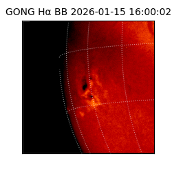 gong - 2026-01-15T16:00:02