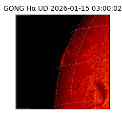 gong - 2026-01-15T03:00:02