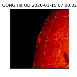 gong - 2026-01-15T07:00:02