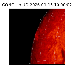 gong - 2026-01-15T10:00:02