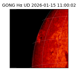 gong - 2026-01-15T11:00:02