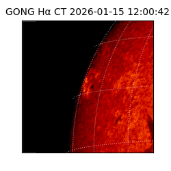 gong - 2026-01-15T12:00:42