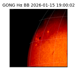 gong - 2026-01-15T19:00:02