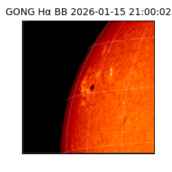 gong - 2026-01-15T21:00:02