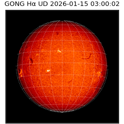 gong - 2026-01-15T03:00:02